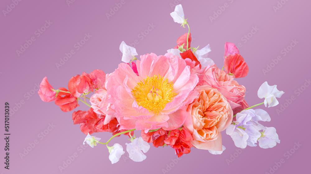 Bouquet of pink peonies and roses closeup isolated on a purple background