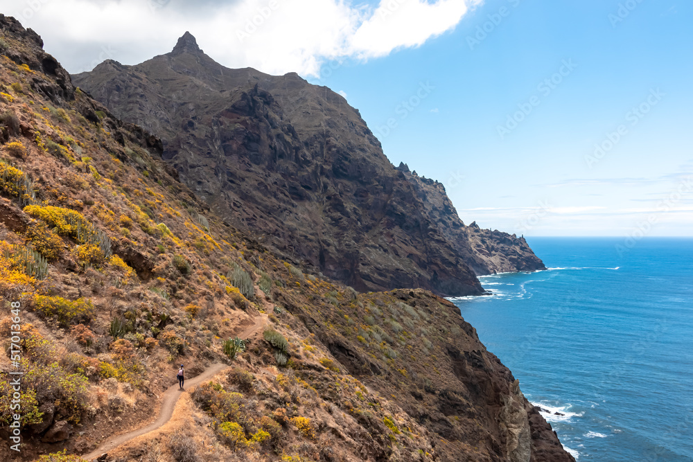 Panoramic view of Atlantic Ocean coastline and Anaga mountain range on Tenerife, Canary Islands, Spain, Europe, EU. Looking at Cabezo el Tablero crag. Scenic coastal hiking trail from Afur to Taganana