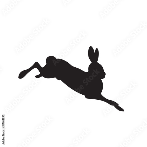 rabbit jumping in the air