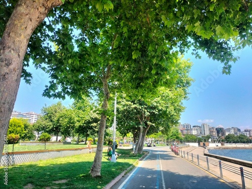 Fotografering Boulevard near the sea with tree shade on a sunny day