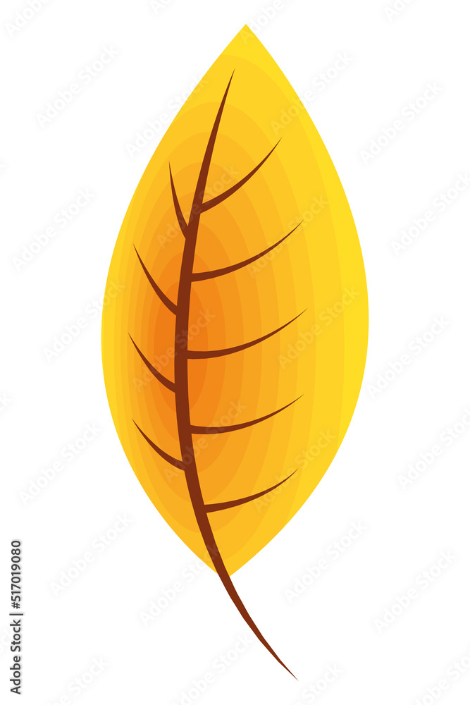 yellow autumn season leave yellow autumn season leave