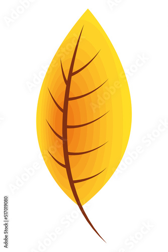 yellow autumn season leave