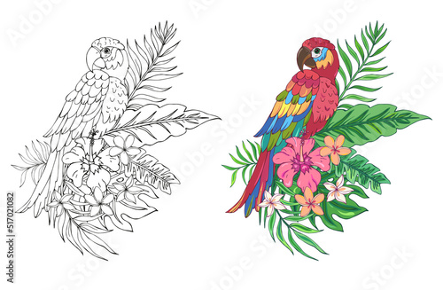 Vector Illustration of parrot and tropical plants. Black and white vector illustration for coloring book. Beautiful drawings with patterns and small details. 