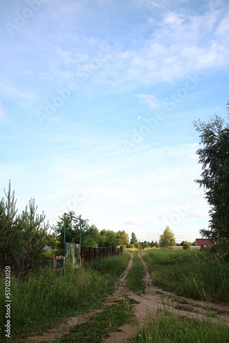dirt road in summer in the countryside