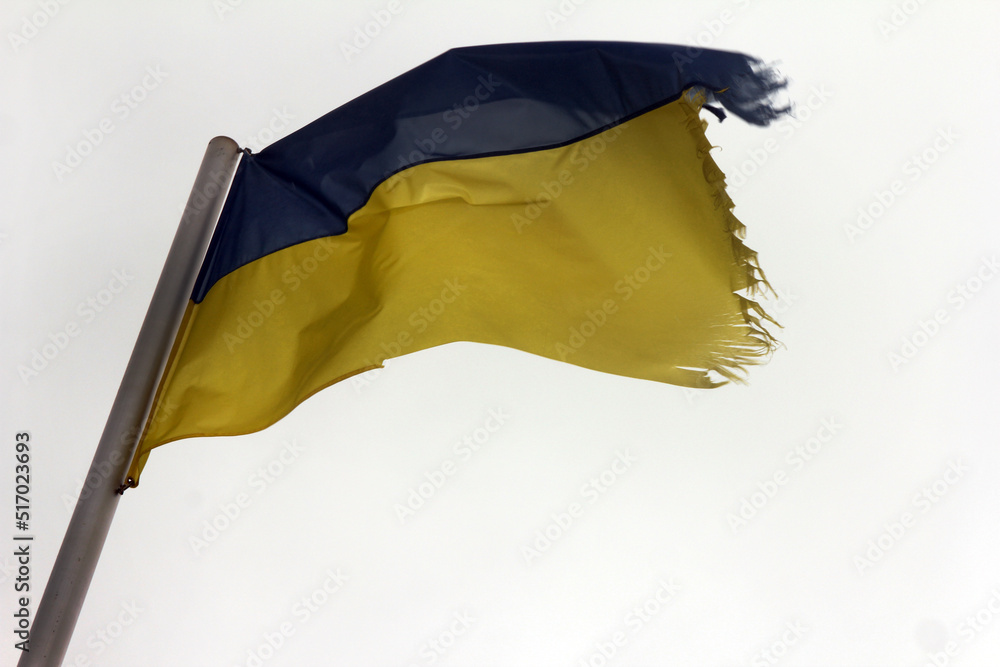 Fototapeta premium yellow and blue flags