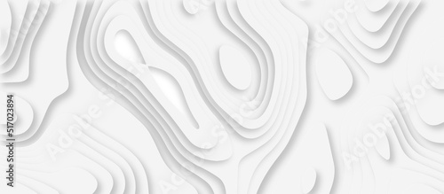 3d white papercut topography relief. Cover layout template. Material design concept vector illustration. abstract curve line white background. Soft smooth lines curving white papercut background.