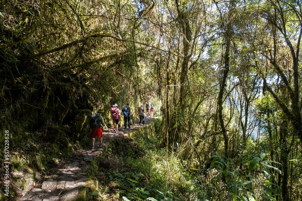 Obraz premium The green rainforests and cloud forest of the Urubamba Valley in Peru