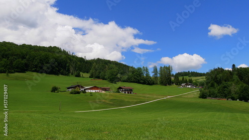 Almwiesen in der Nähe von Marktschellenberg - Ettenberg photo