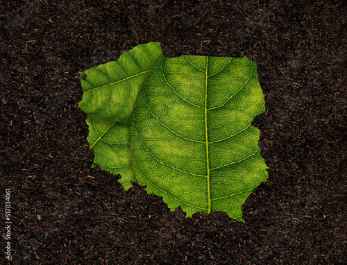 Map of Poland made of green leaves isolated on black background, ecology concept