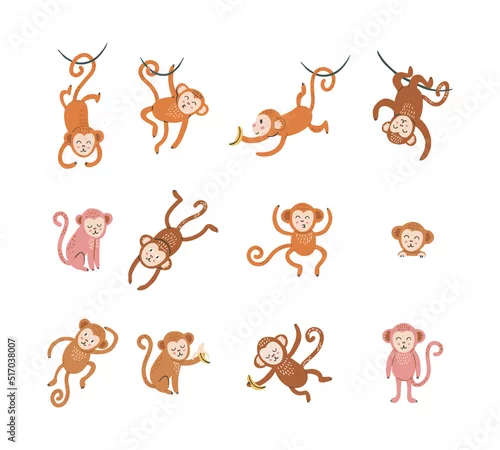 Obraz Set of cute monkey with funny face in different poses. Cartoon animal design. Flat vector illustration isolated on white background.