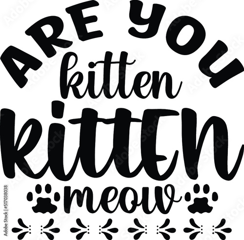 Are you kitten kitten meow