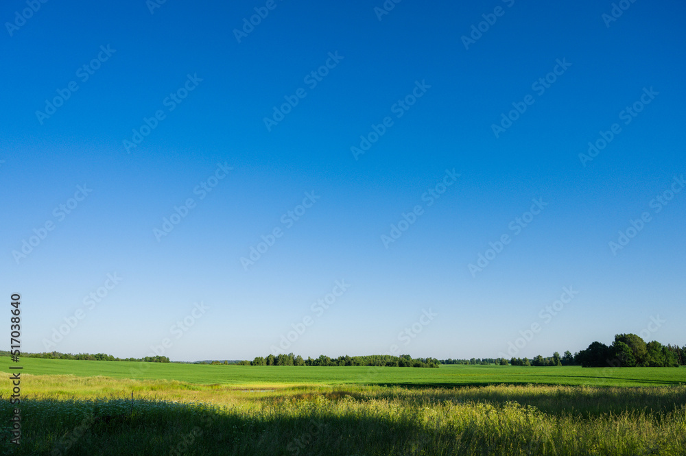 Obraz premium Scenic landscape of field at sumer. Green meadows. Blue sky.