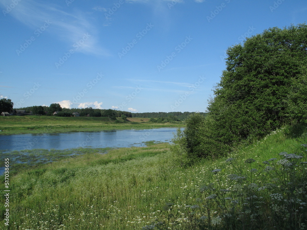 summer river in the countryside in the evening