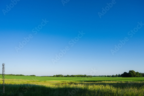 Scenic landscape of field at sumer. Green meadows. Blue sky.