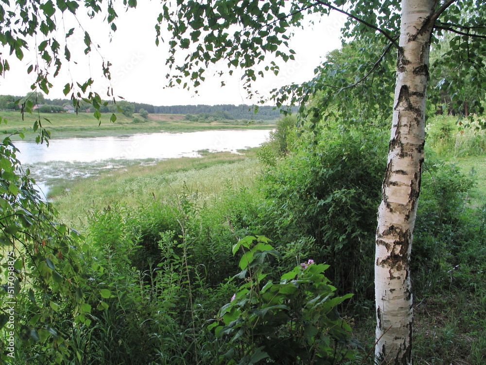 Fototapeta premium summer river in the countryside in the evening