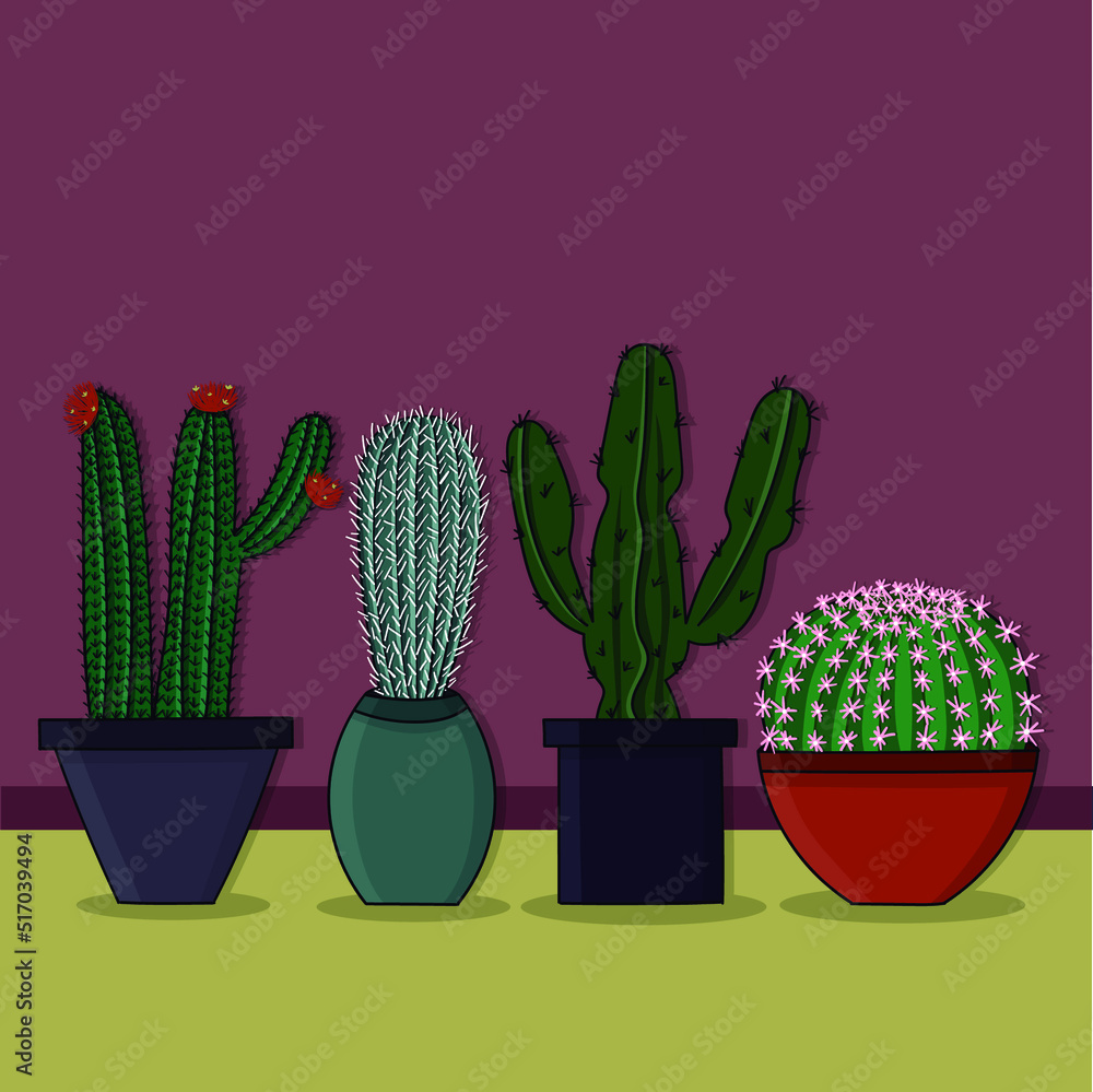 Beautiful vases with cactus Beautiful vases with cactus