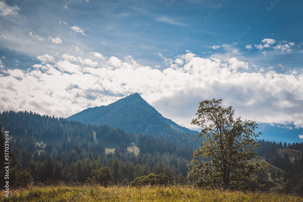 Fototapeta premium Landschaft | Berge