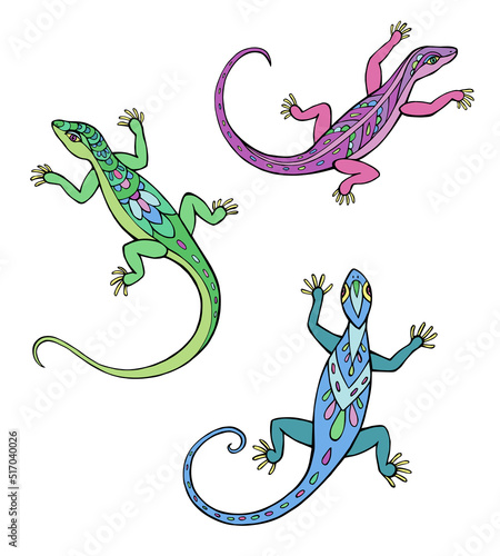 Vector Illustration of hand drawn lizards. Beautiful drawings with patterns and small details. 