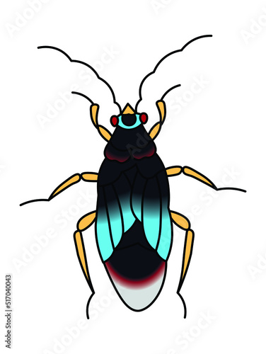 Hand drawn insect illustration, detailed vector art. Isolated bug on white background in a light-colored wooden frame.