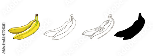 Two bananas. Bananas in four variants - cartoon style, black silhouette, doodle and outline. Vector illustration, isolated on white background