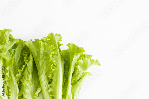 Fresh green lettuce salad closeup. Top view.