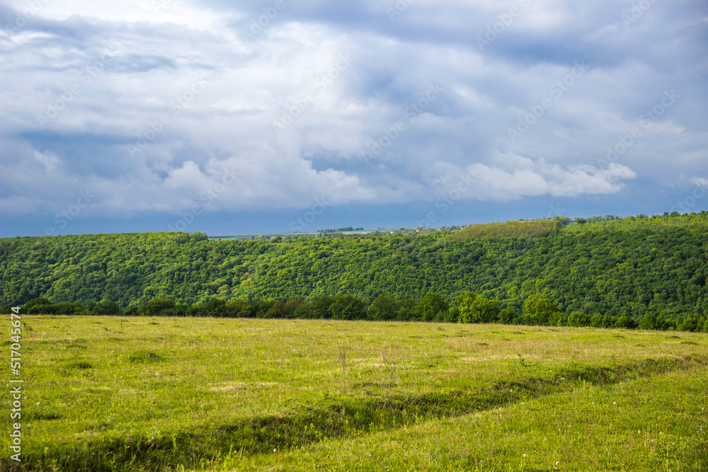 a wide green meadow