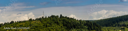 wide view of spruce Carpathian forest  Skole Beskids National Nature Park  Lviv region of Ukraine
