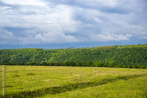 a wide green meadow