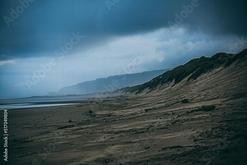 Fototapeta Naklejka Na Ścianę i Meble -  Oregon Dunes National Recreation Area
