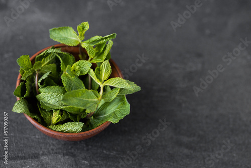 mint in a plate on a dark table