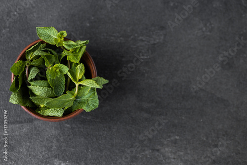 mint in a plate on a dark table