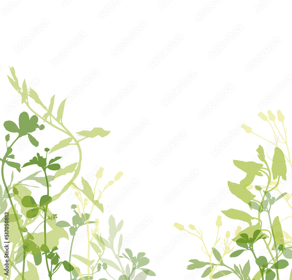 Green silhouette of grass and wild flowers border isolated on white Green silhouette of grass and wild flowers border isolated on white
