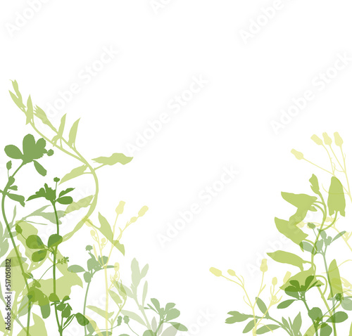 Green silhouette of grass and wild flowers border isolated on white