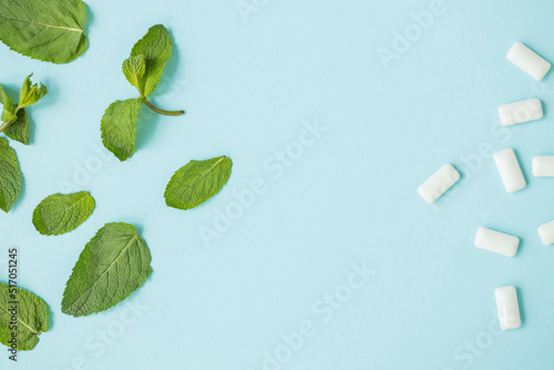 Mint green with leaves and chewing gum on blue background
