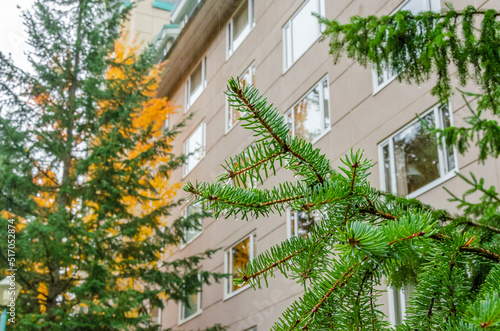 Modern apartment building with beautiful Fall foliage landscape in Vancouver, Canada, North America. Rainy day time on October 2021.