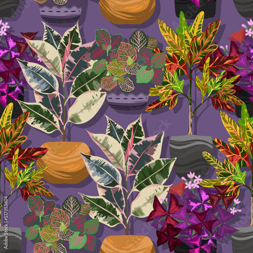 Houseplants. Botanical vector illustration pattern, purple background.Variegated plants, multi colored leaves. Codiaeum, Ficus tricolor, Fittonia, Oxalis