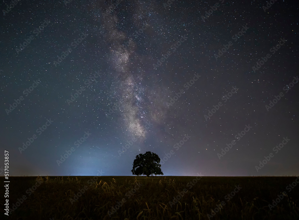 Milky way and lonely oak in the field.