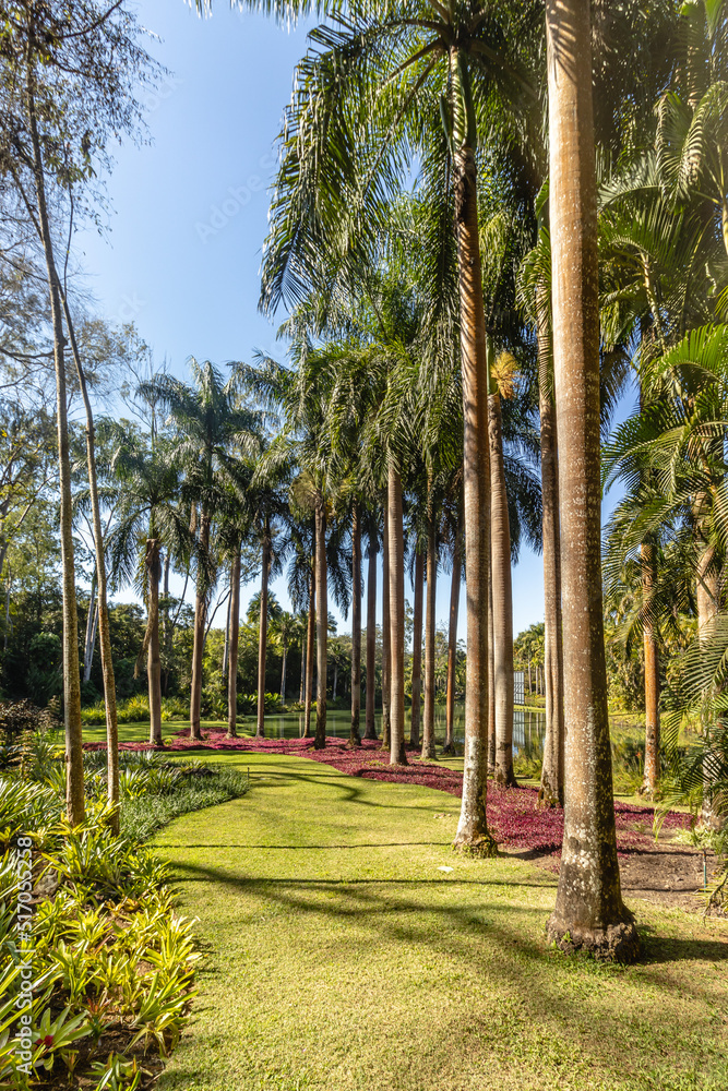 Fototapeta premium natural landscape in the city of Brumadinho, State of Minas Gerais, Brazil