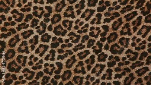 footage of leopard textile background 