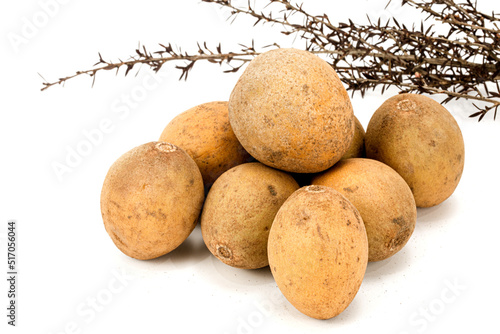 fresh Sapodilla fruit isolated in white background  studio lighting  macro detailing  composition with elements  no one  copy space  negative space  multiple Sapodilla isolated