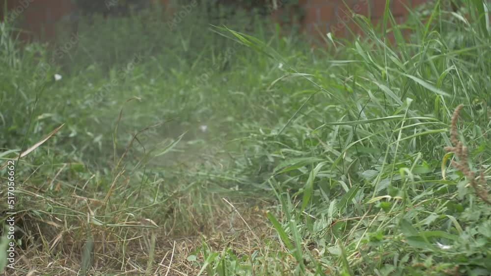 Cutting Grass Using A Old Scythe Manual Tool Cutting Grass Using A Old Scythe Manual Tool