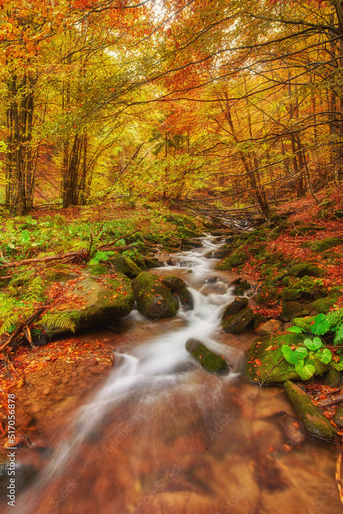 rapid mountain river in autumn. rapid mountain river in autumn.
