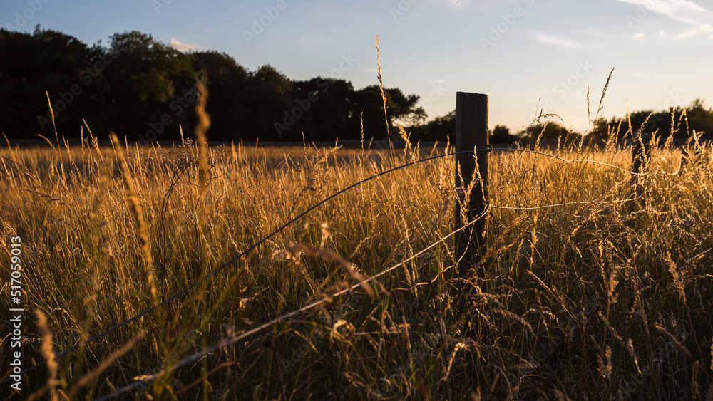 Fotografie Wire fence backlit by sunset