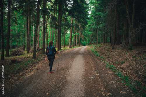 A female tourist walks through a green summer forest during a trip in nature. Hiking in forest © kovop58