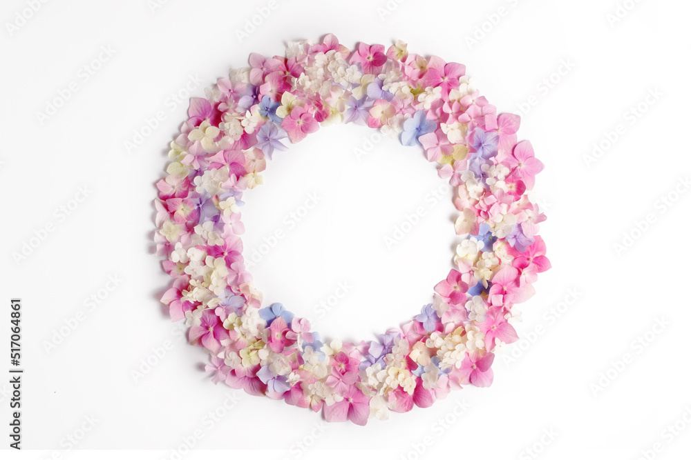 Flower composition. Wreath of pink, blue, white hydrangea flowers isolated on white background. Flat lay, top view