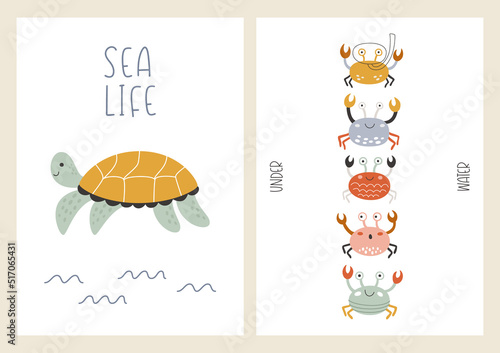 Cute set of marine posters with underwater animals. Vector illustrations of turtles and crabs on postcards