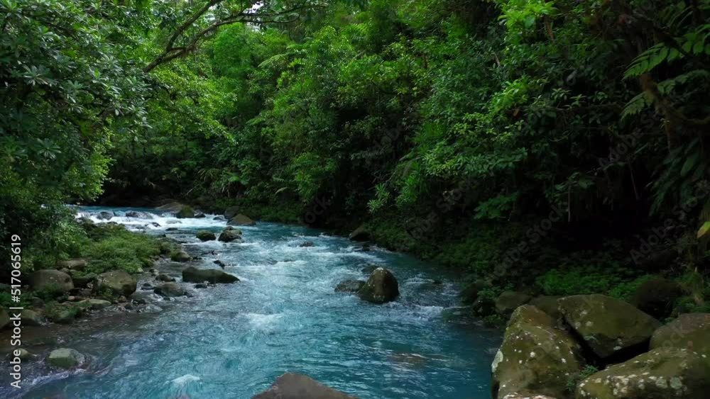 Blue river running through tropical forest Blue river running through tropical forest