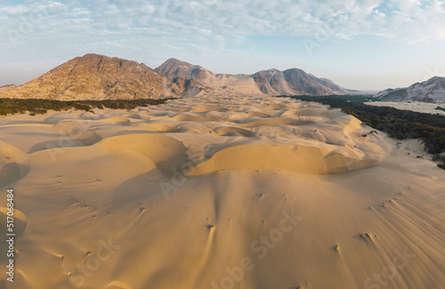 This image shows the oasis  dry forest and sand dunes at Ca  oncillo  La Libertad  Peru at sunset. Aereal shot. Panoramic shot.