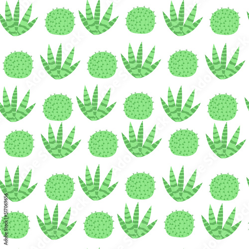 seamless pattern with cactus on a white background in cartoon style.Vector illustration