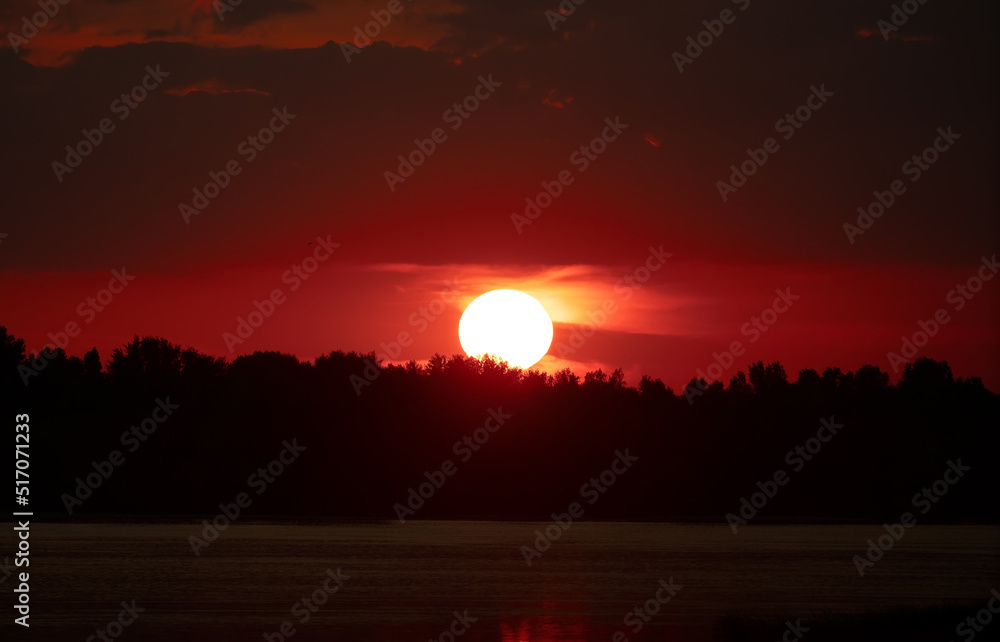 The Sun goes below the horizon. Sunset over the forest. The sun hides behind the trees. Red sunset and bright Sun